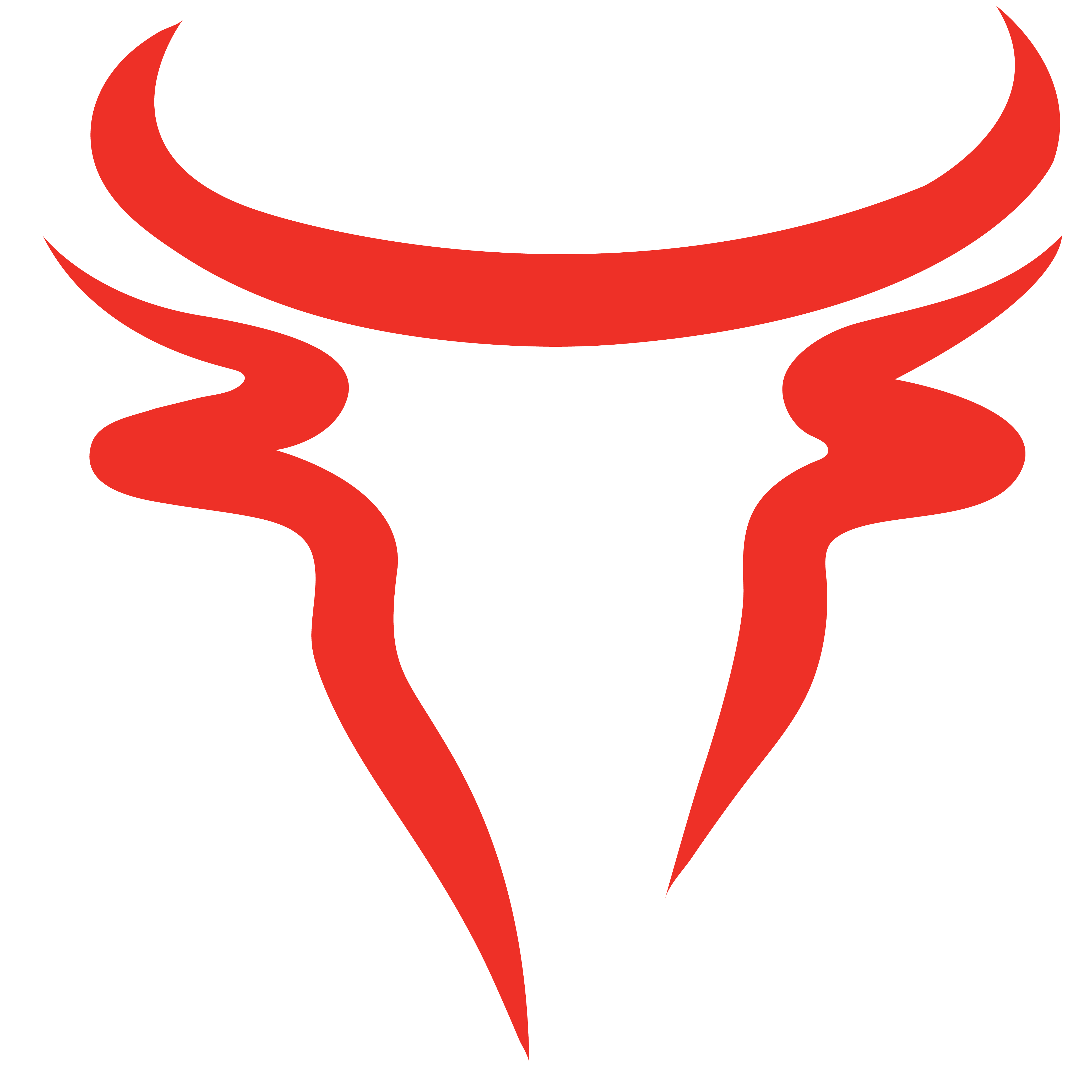 Bullish Logo Mark