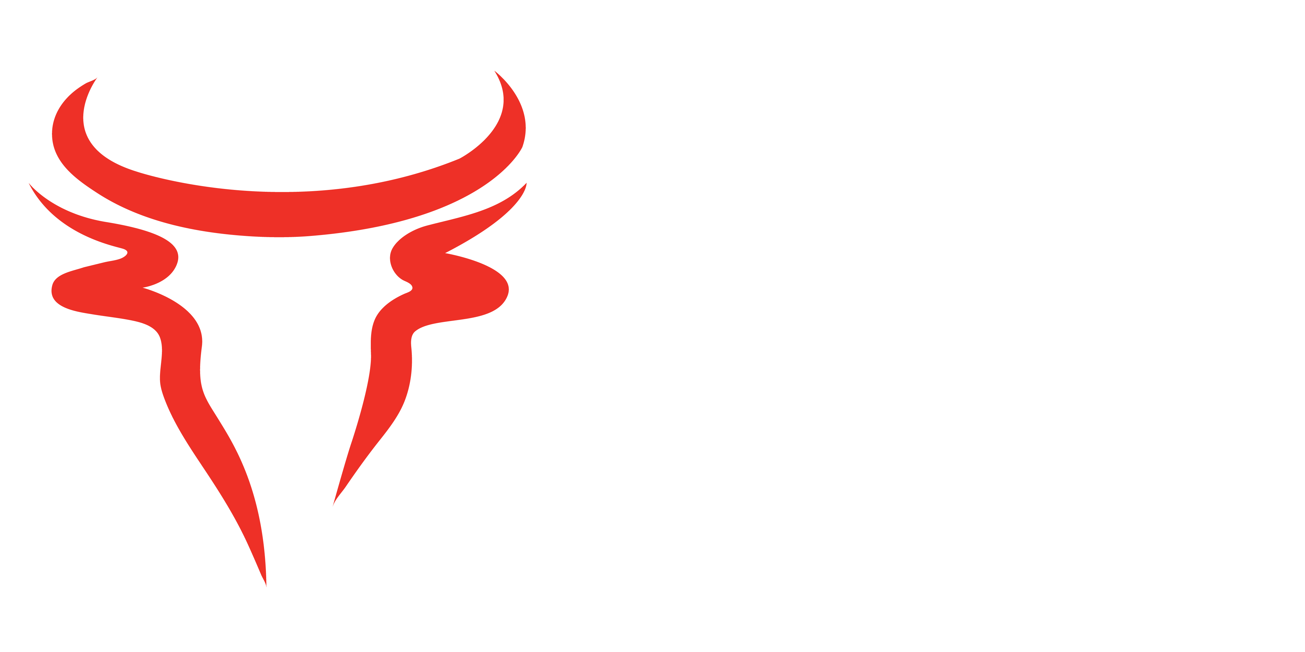 Bullish Investments Logo